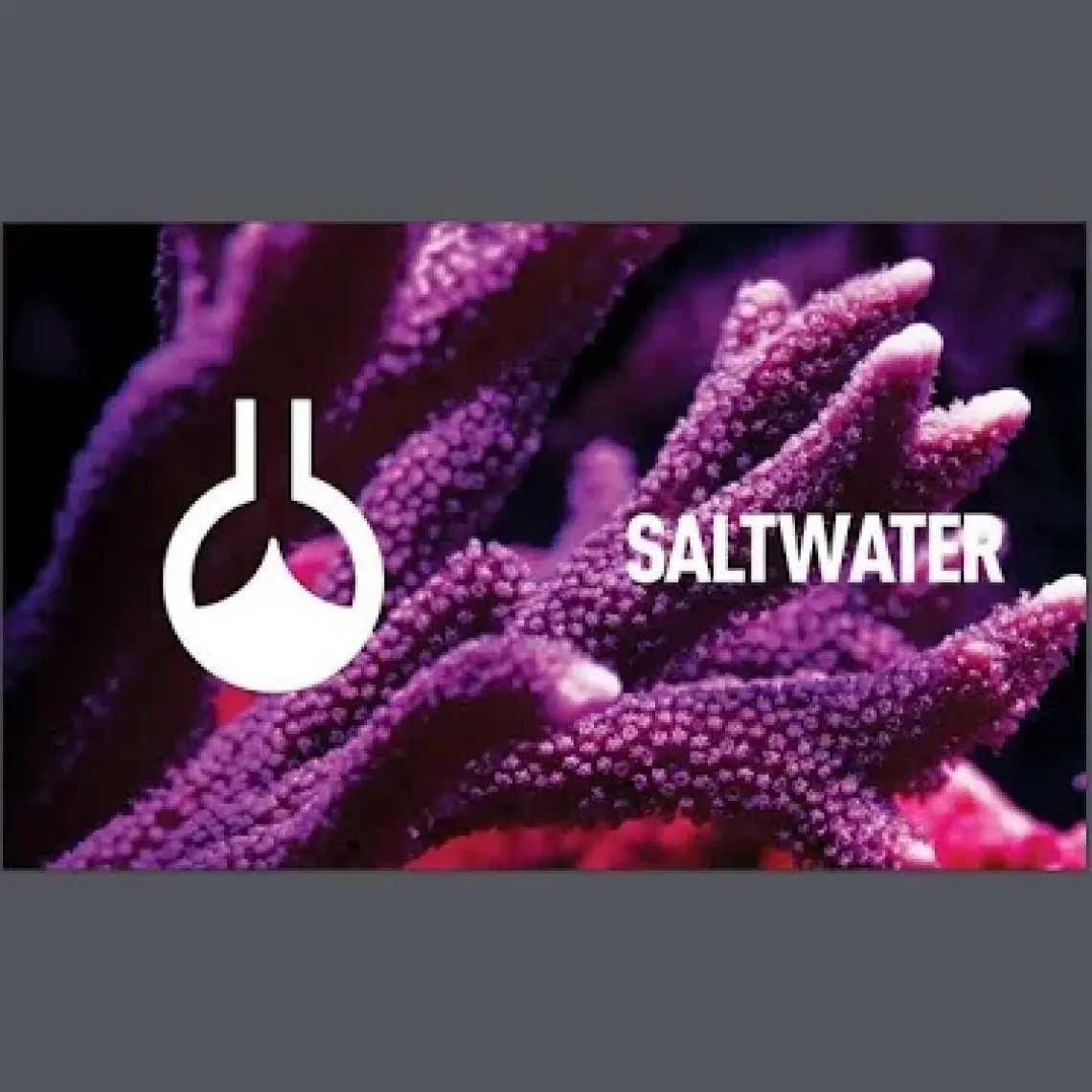 ReeFlowers kH Blend 500 ml