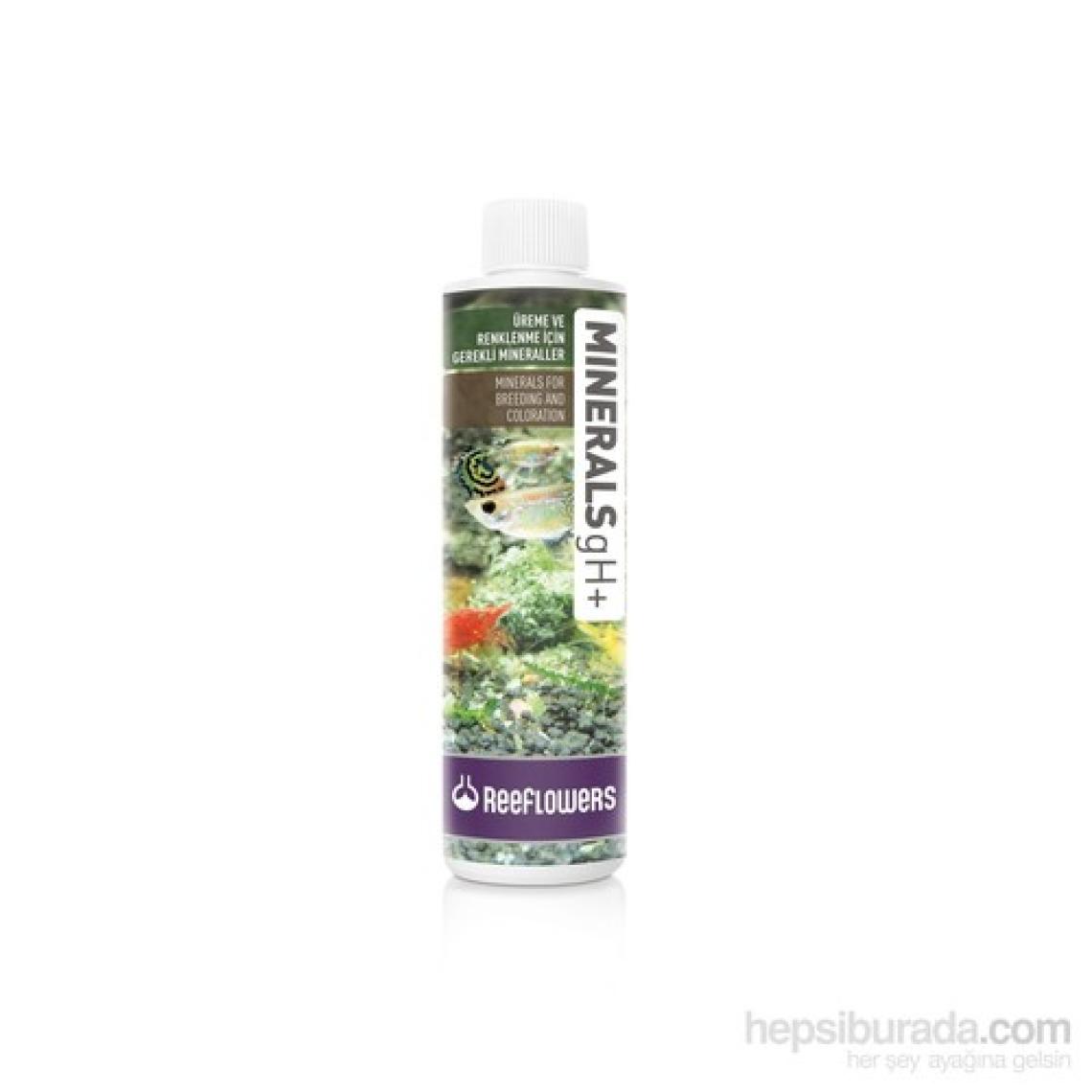 Reeflowers   Minerals gH+ 500 ml