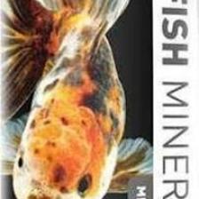 Reeflowers Goldfish Minerals Gh+ 85 Ml
