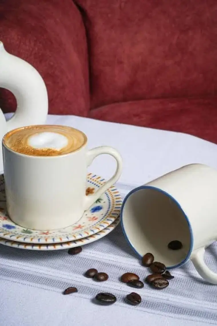 Heda Porselen Dalya 12 Parça 6 Kişilik Porselen Kahve Fincan Takımı