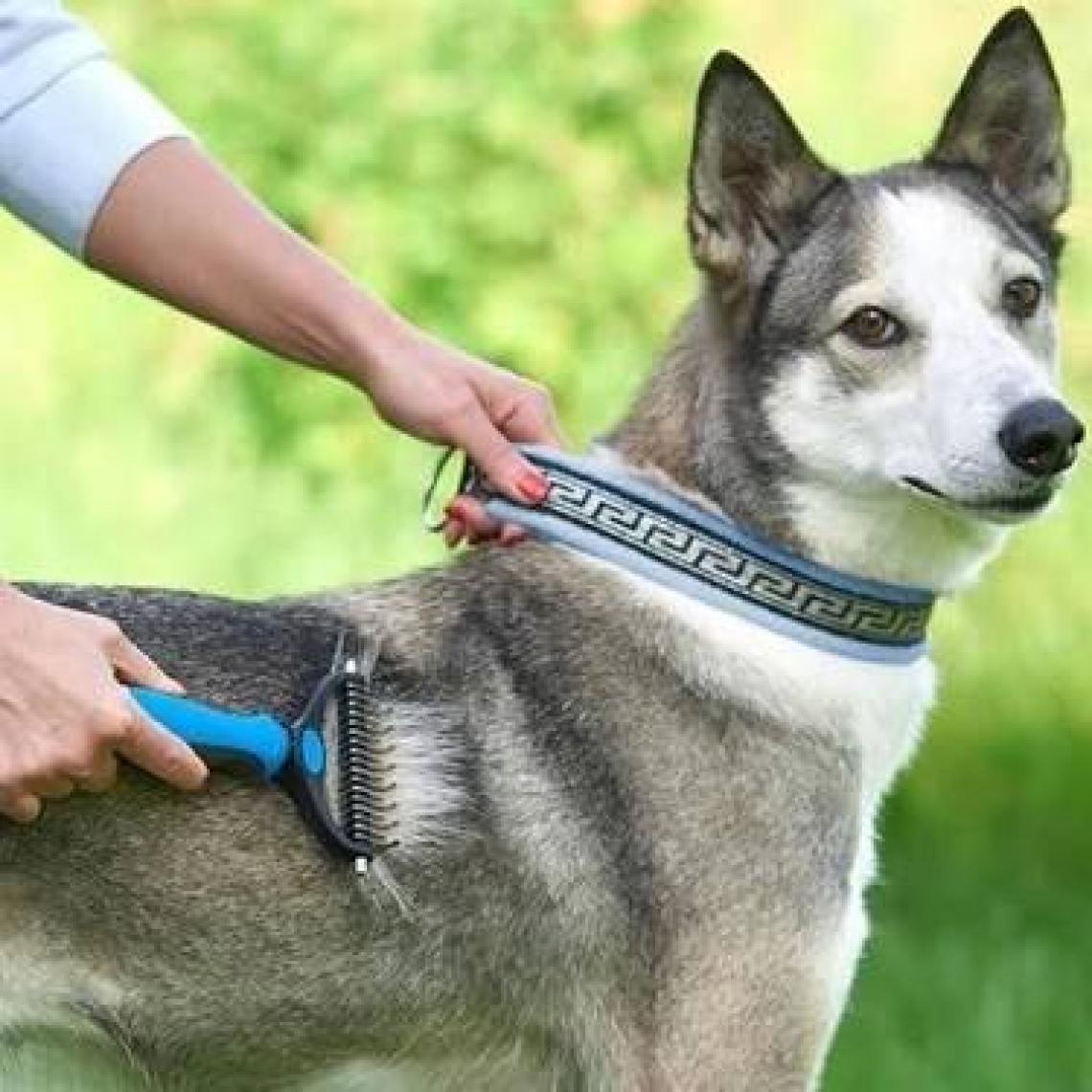 Nactumu Plastik Saplı Metal Kedi Köpek Bakım Kıtık Tüy Topak Açıcı Tarak