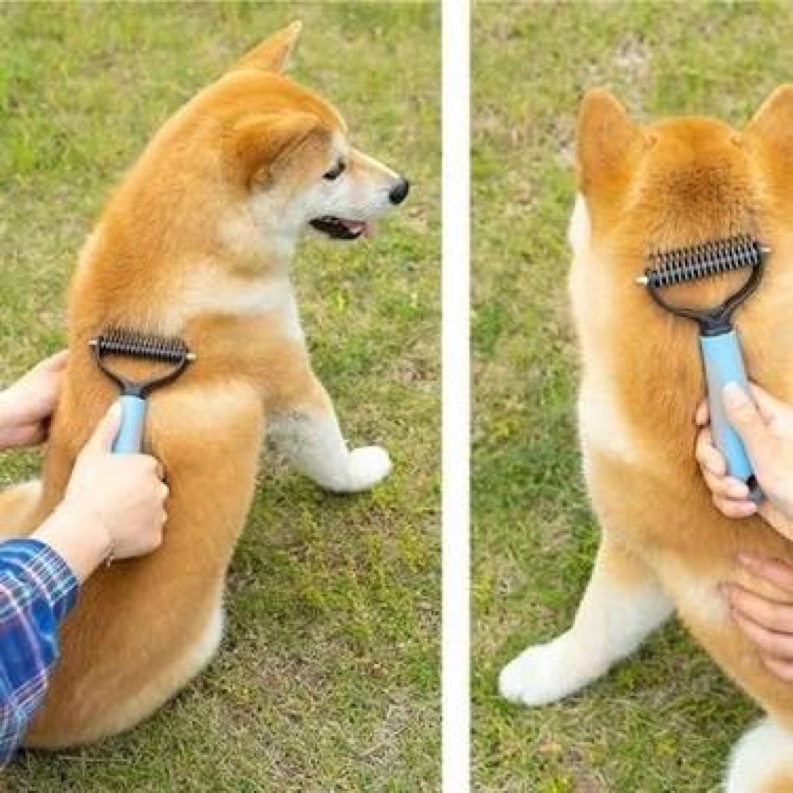 Nactumu Plastik Saplı Metal Kedi Köpek Bakım Kıtık Tüy Topak Açıcı Tarak