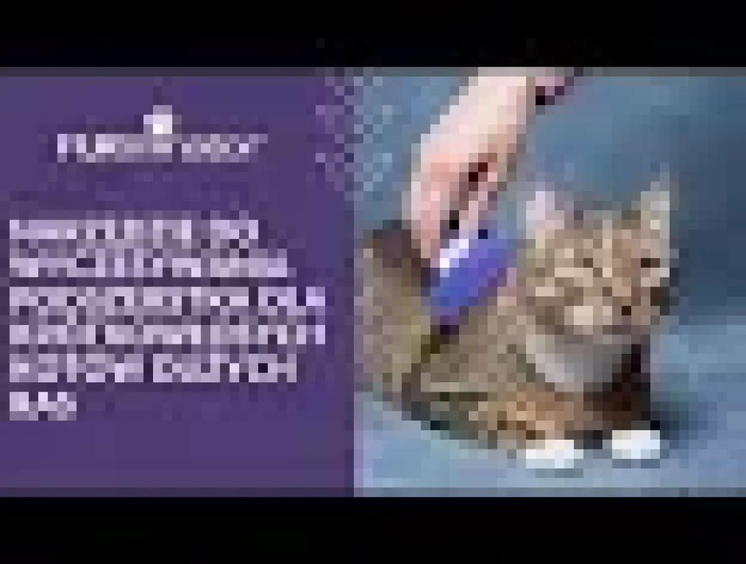 Furminator Undercoat Shorthair M/l