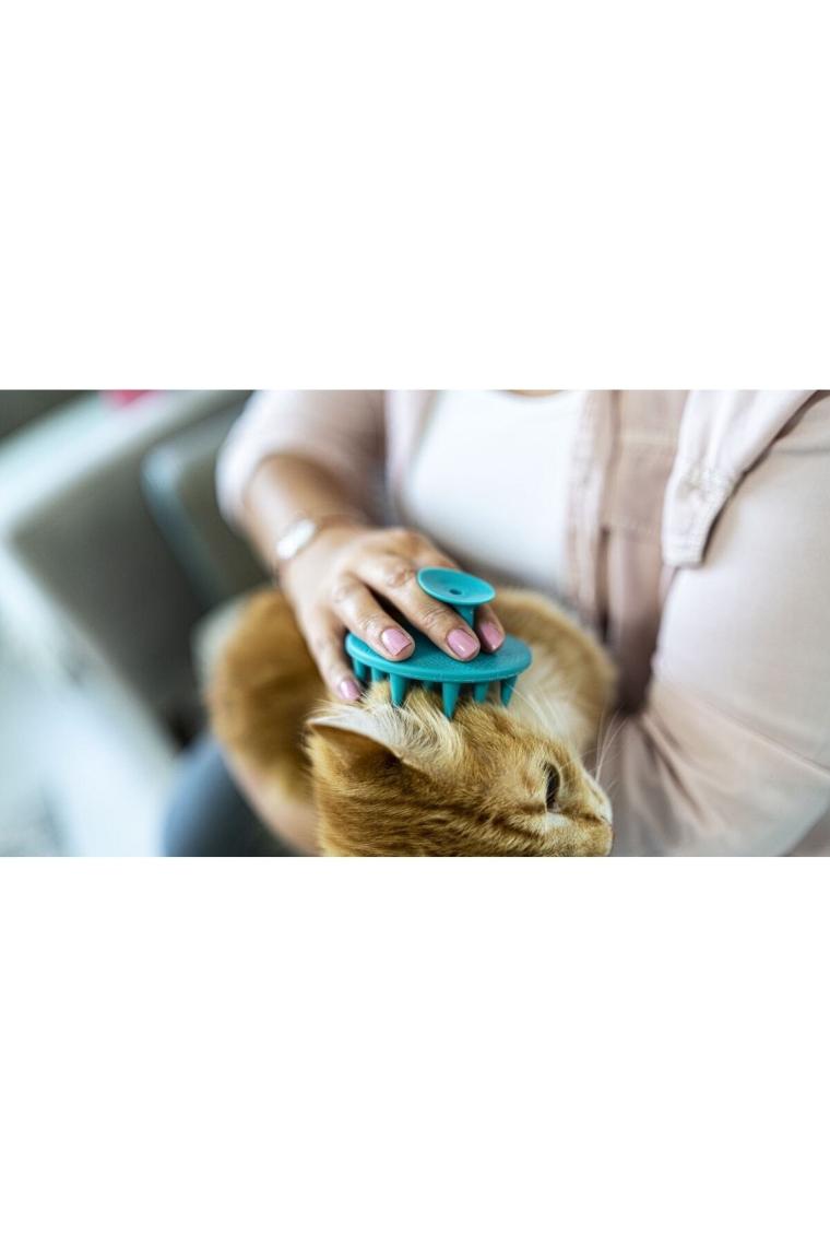 Ata Home Yumuşak Silikon Uçlu Kedi Köpek Kaşıma Yıkama Fırçası Tarağı Vantuzlu