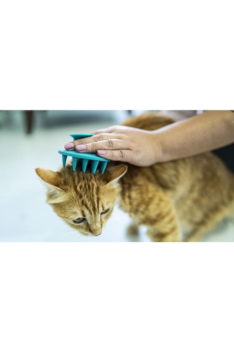 Ata Home Yumuşak Silikon Uçlu Kedi Köpek Kaşıma Yıkama Fırçası Tarağı Vantuzlu