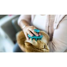 Ata Home Yumuşak Silikon Uçlu Kedi Köpek Kaşıma Yıkama Fırçası Tarağı Vantuzlu