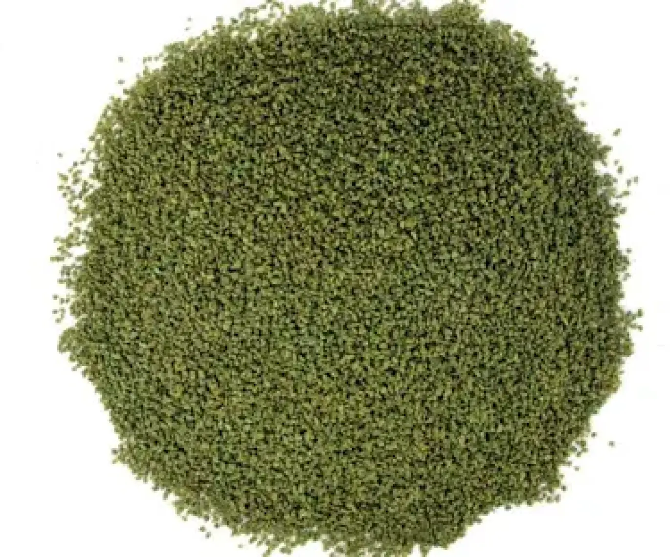 Amore Cichlid Green Granules 3 kg Malawi Amerikan Tanganyika Ciklet Bitkisel Kova Balık Yemi