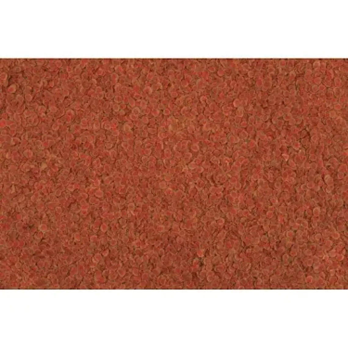 Tetra Pro Colour 10 Lt Kova 2100Gr
