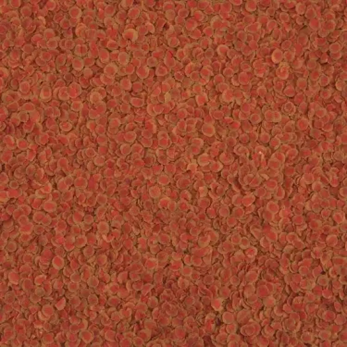 Tetra Pro Colour 10 Lt Kova 2100Gr