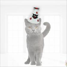 Süsle Bebek ve Parti Kedi Doğum Günü Şapkası