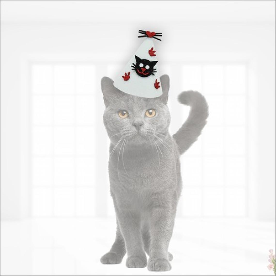 Süsle Bebek ve Parti Kedi Doğum Günü Şapkası