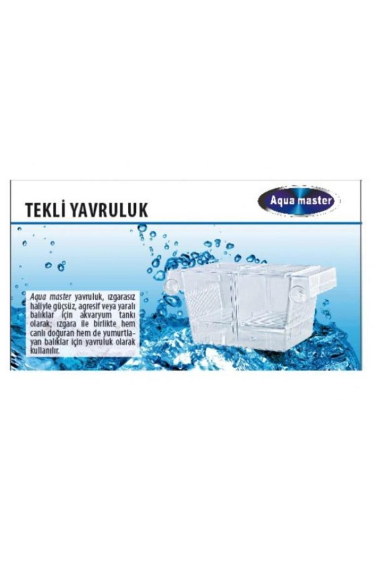 Akvaryum Balık Yavruluğu Tekli