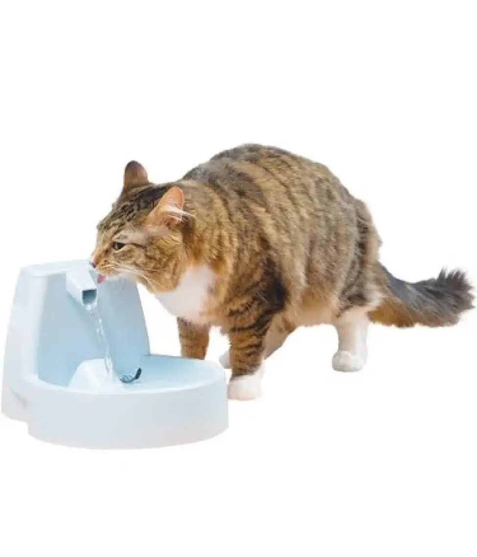 Drinkwell Klasik Kedi ve Köpek Su Pınarı 1,5 lt