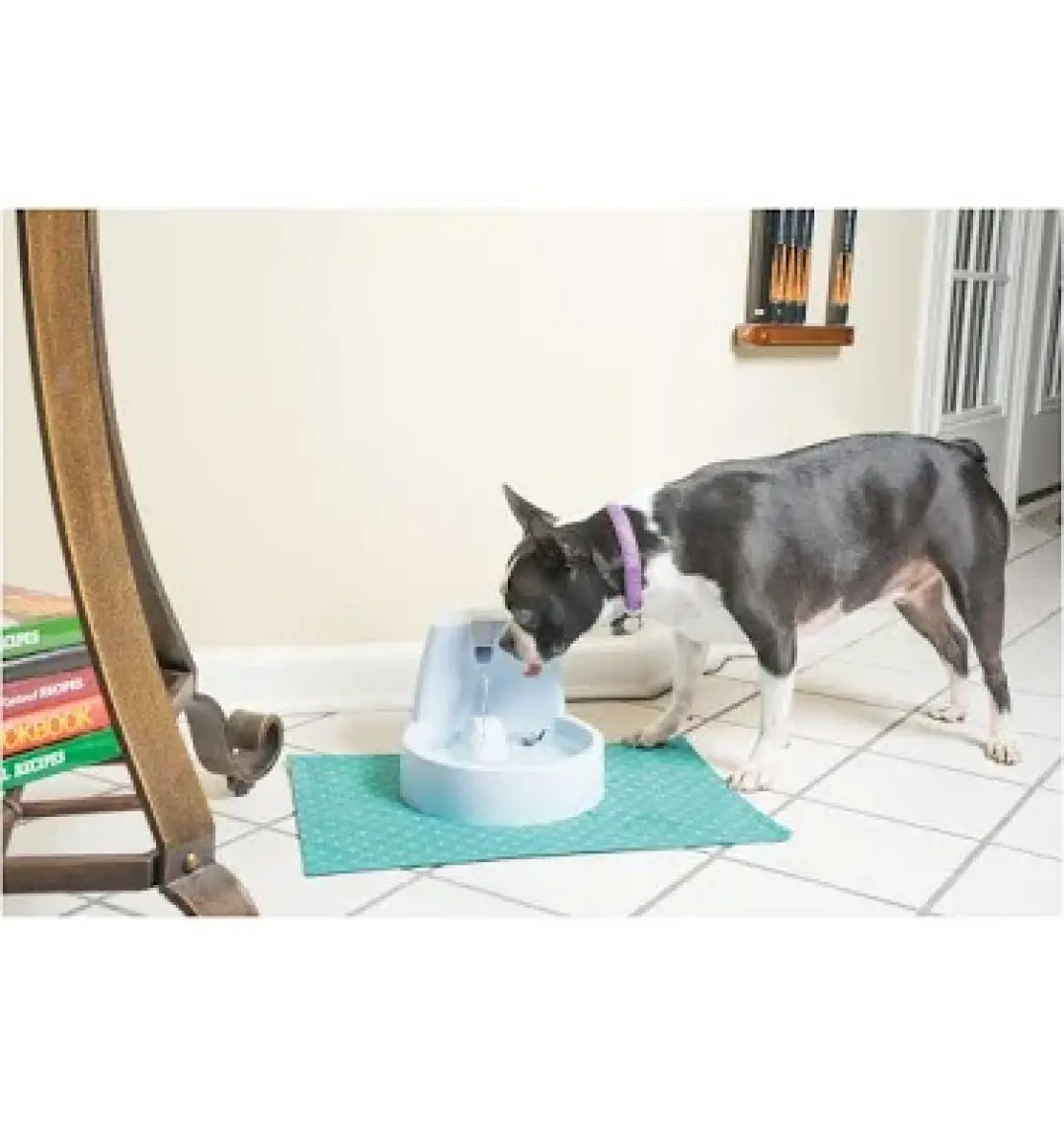 Drinkwell Klasik Kedi ve Köpek Su Pınarı 1,5 lt