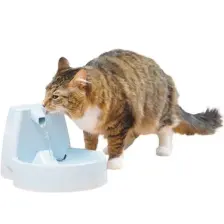 Drinkwell Klasik Kedi ve Köpek Su Pınarı 1,5 lt