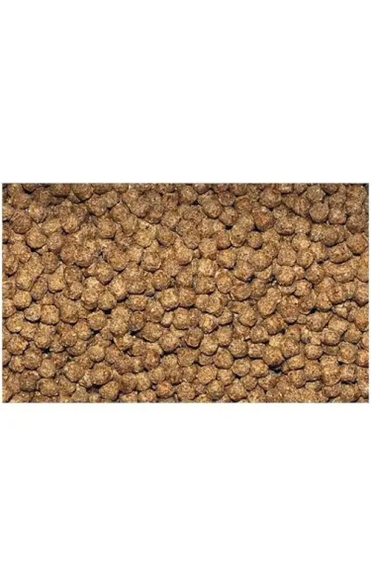 Dajana Cichlid Gran Granül Cichlid Yemi 250 Ml 120 Gr