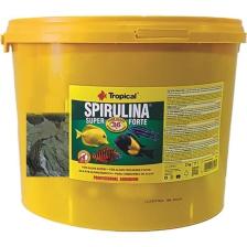 Spirulina Super Forte Flakes 100 Gr Poşet Pul Yem