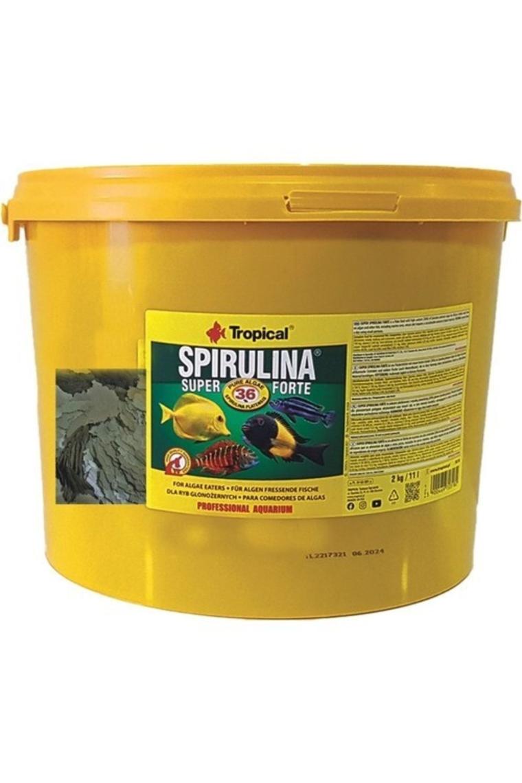 Spirulina Super Forte Flakes 100 Gr Poşet Pul Yem