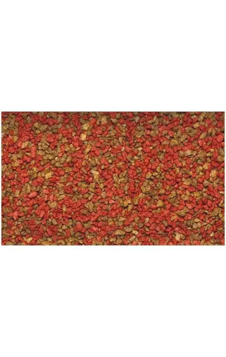 Dajana Basic Tropical Granül Balık Yemi 80 Ml 30 Gr