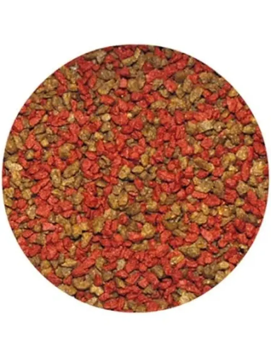 Dajana Basic Tropical Granül Balık Yemi 80 Ml 30 Gr