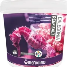 Caledonia Reef Salt 6,5Kg