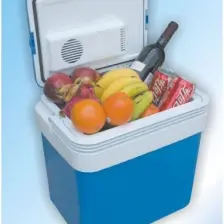 Ice Peak Wismar 12/220V Oto Buzdolabı 24Lt.