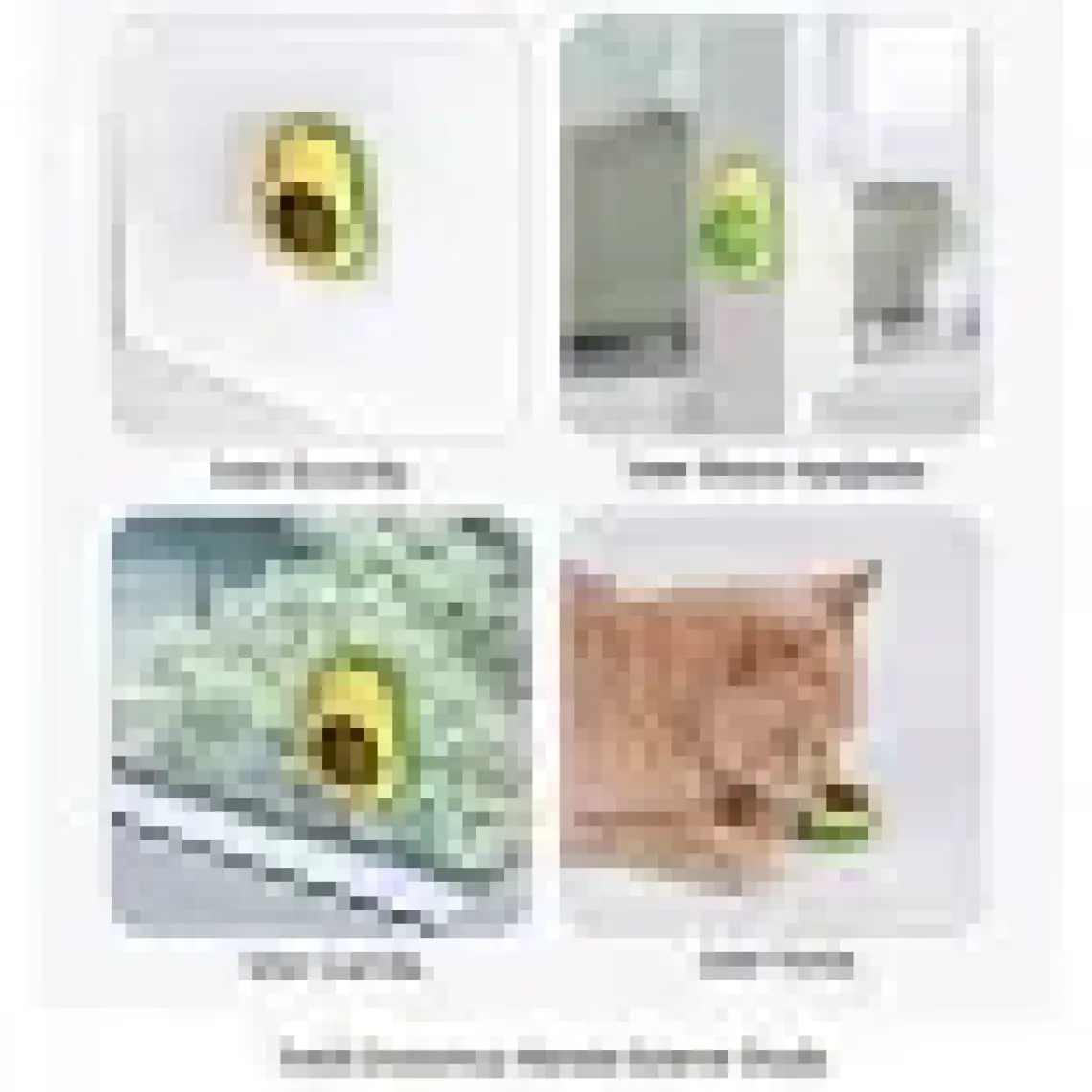 Avakado Kedi Nanesi Cat Mint Oyun Topu