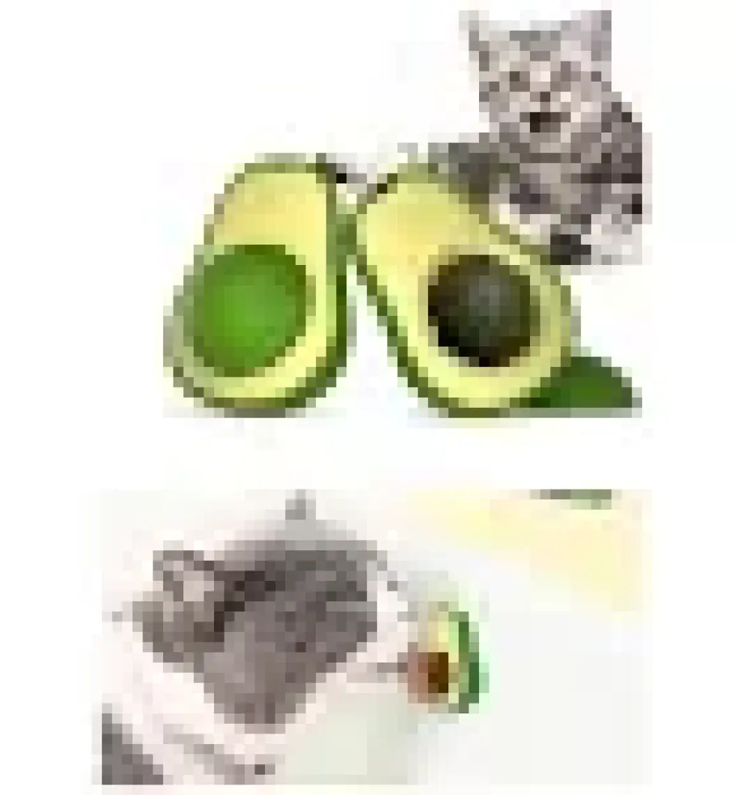 Avakado Kedi Nanesi Cat Mint Oyun Topu