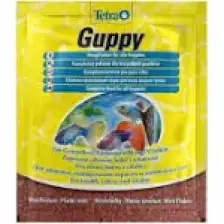 Tetra Guppy 12GR