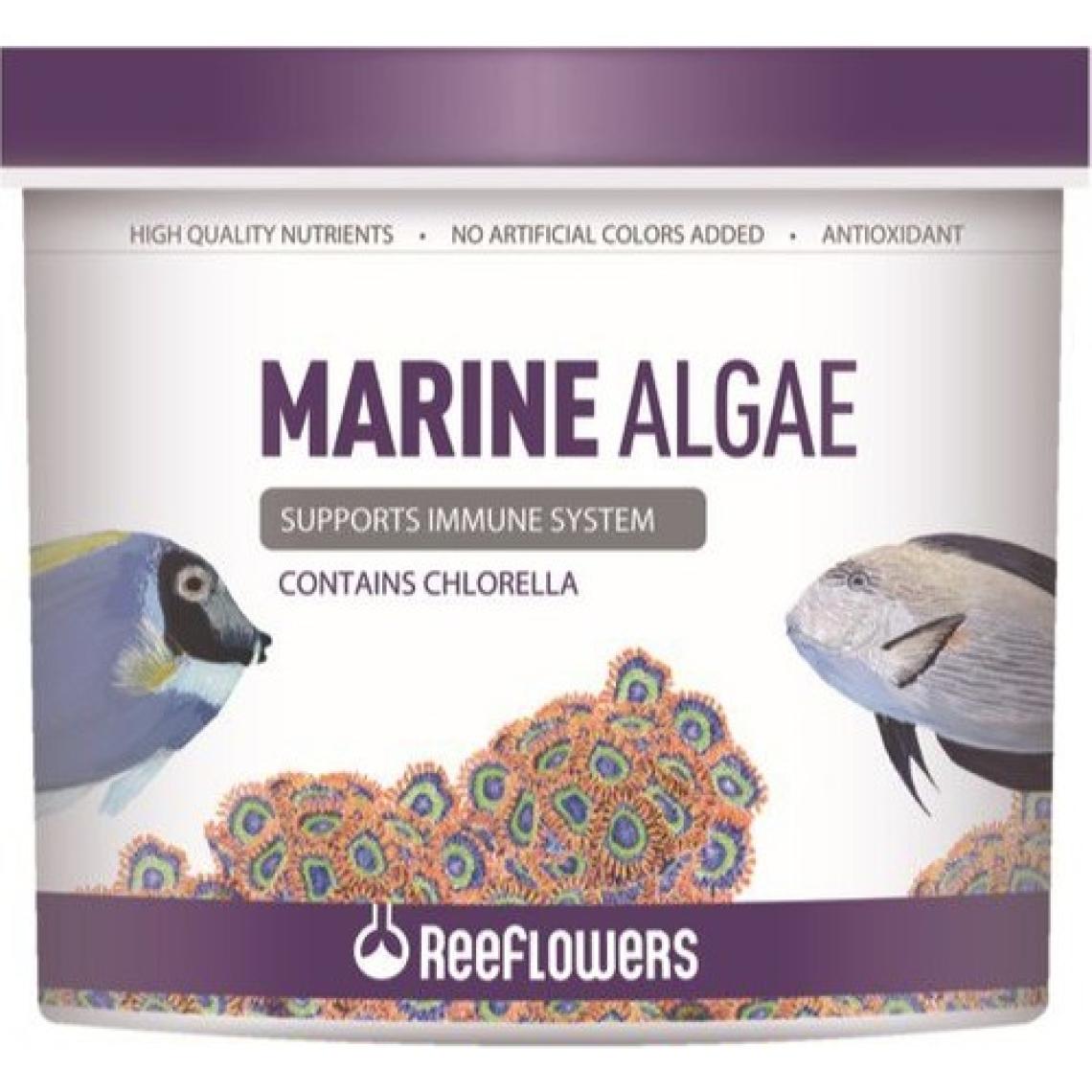 Reeflowers Marine Algae 1000 ml