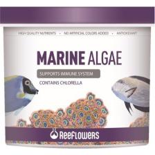 Reeflowers Marine Algae 1000 ml