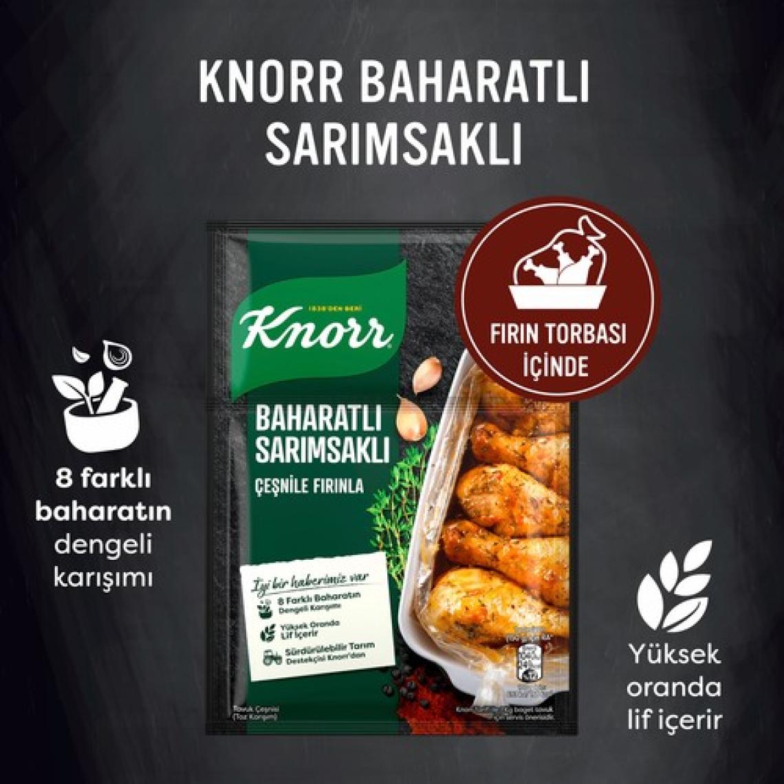Knorr Tavuk Çeşni Ailesi Baharatlı Sarımsaklı 34 g