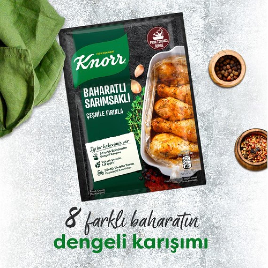 Knorr Tavuk Çeşni Ailesi Baharatlı Sarımsaklı 34 g