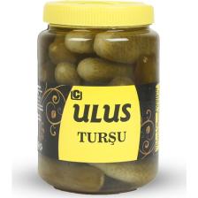 Ulus Turşu Çubuk Salatalık Turşusu 1 Numara 1 kg