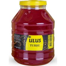 Ulus Turşu Turşu Suyu Turşusu 5 lt
