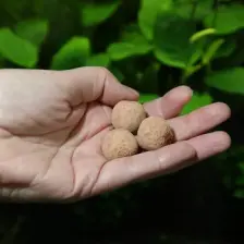 Jbl The 7 Balls Kök Gübre Topu