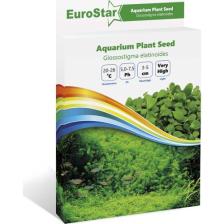 Eurostar Bitki Tohum Glossostigma Elatinoides