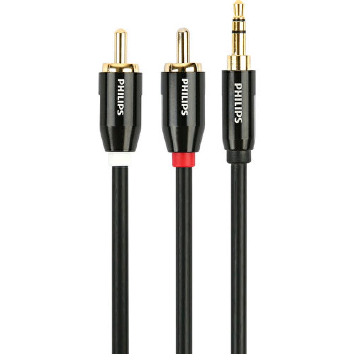 Philips SWR2121C/93 3.5mm Premium Stereo Erkek / Rca Erkek Ses Kablosu - 2n