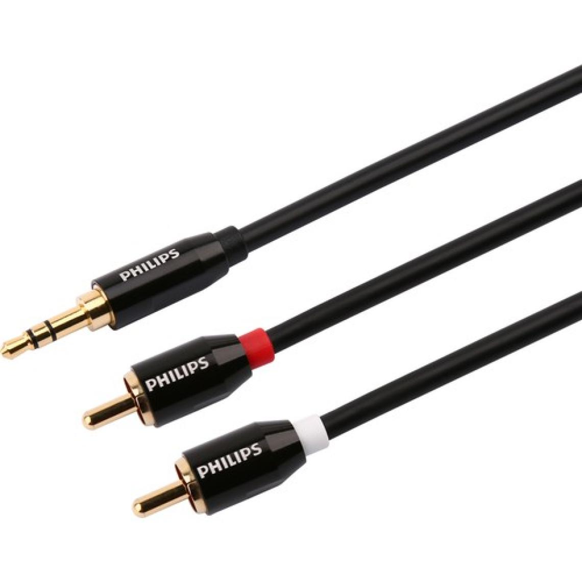 Philips SWR2121C/93 3.5mm Premium Stereo Erkek / Rca Erkek Ses Kablosu - 2n