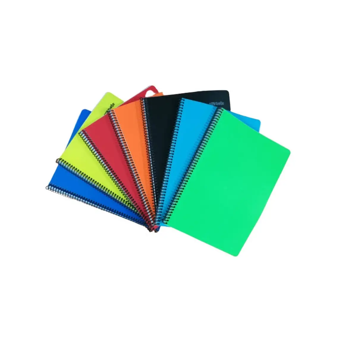 Mynote Spiralli Pp Kapak Defter A4 100 Yp Çizgili