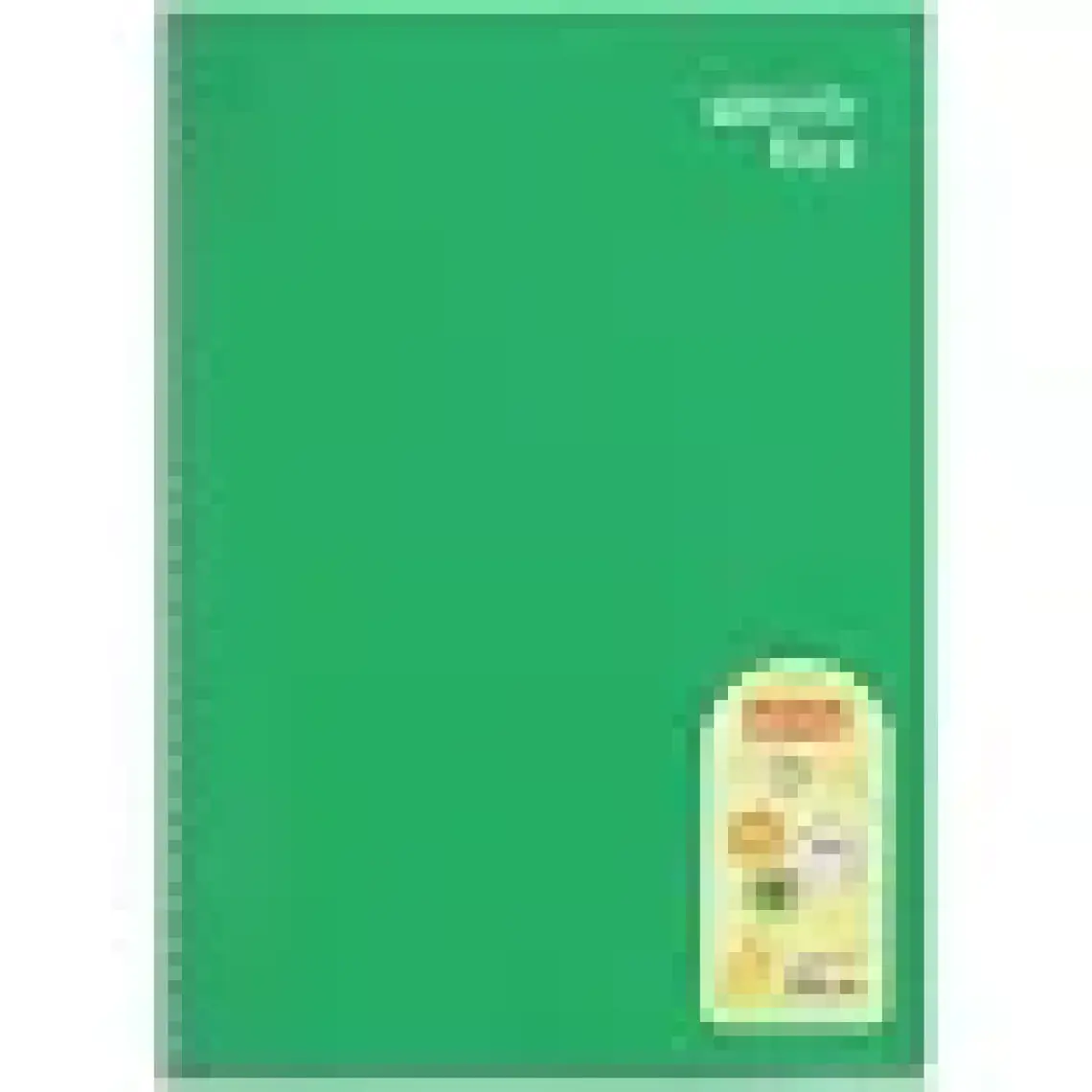 Mynote Spiralli Pp Kapak Defter A4 100 Yp Çizgili