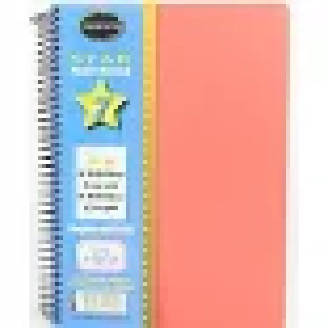 Defne Star Spiralli A4 Plastik Kapak Ayraçlı Defter 5 Kareli+2 Çizgili 175 Yaprak