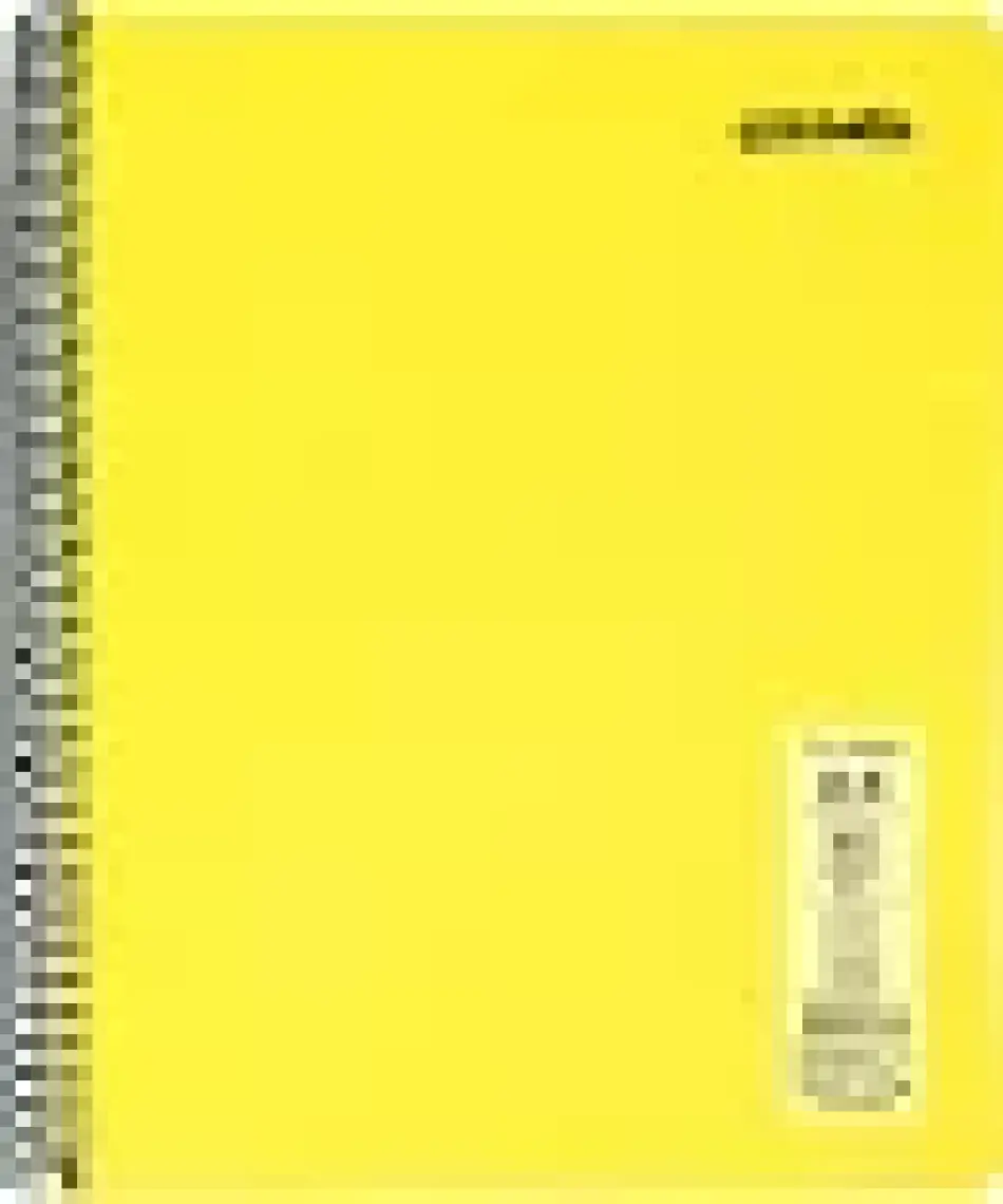Mynote Flex Neon Defter A4 80 Sayfa 4'lü Defter Seti (2 Kareli + 2 Çizgili)