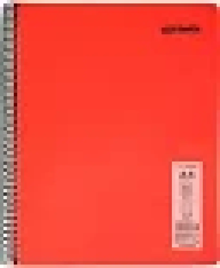 Mynote Flex Neon Defter A4 80 Sayfa 4'lü Defter Seti (2 Kareli + 2 Çizgili)