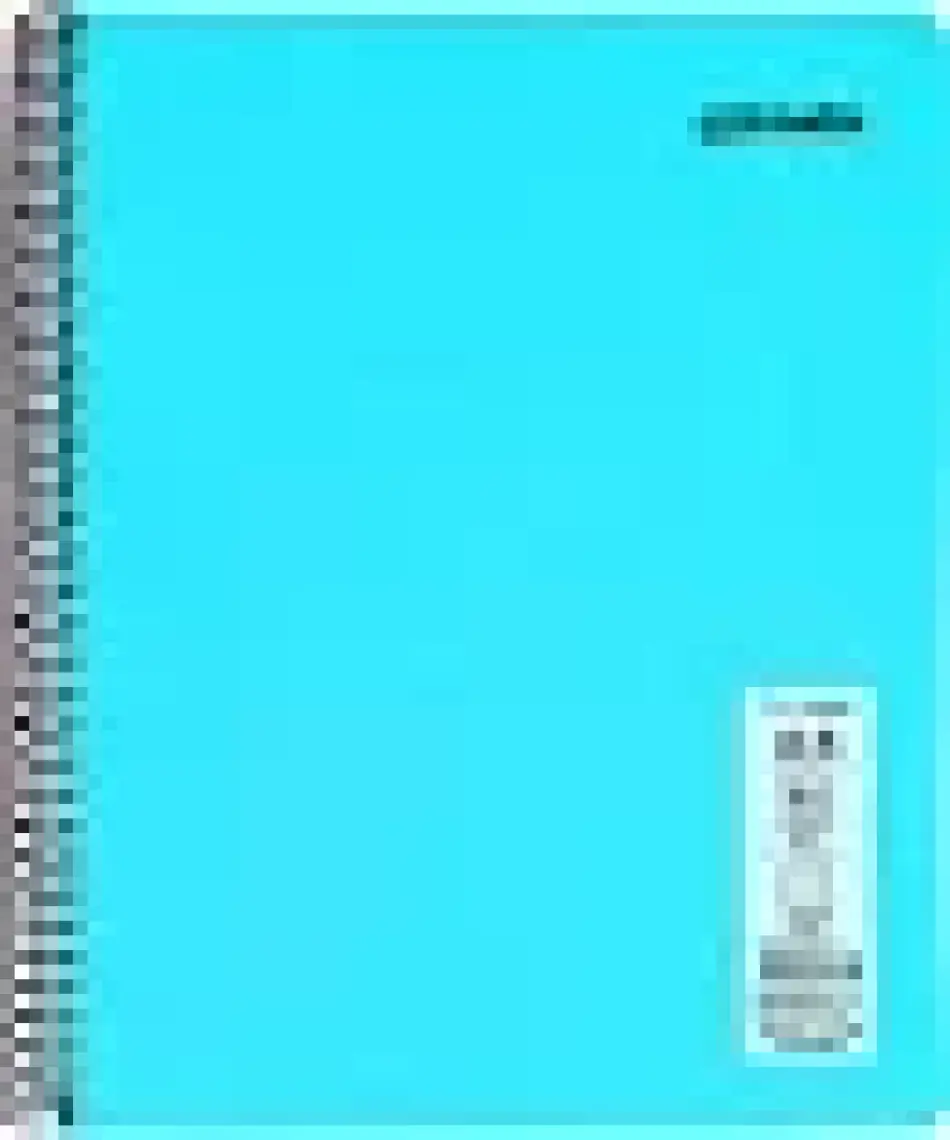 Mynote Flex Neon Defter A4 80 Sayfa 4'lü Defter Seti (2 Kareli + 2 Çizgili)