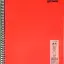 Mynote Flex Neon Defter A4 80 Sayfa 4'lü Defter Seti (2 Kareli + 2 Çizgili)