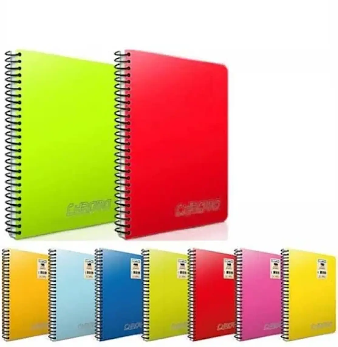 Gıpta Chromo Spiralli PP Kapak Defter A4 Çizgili 100yp 1491