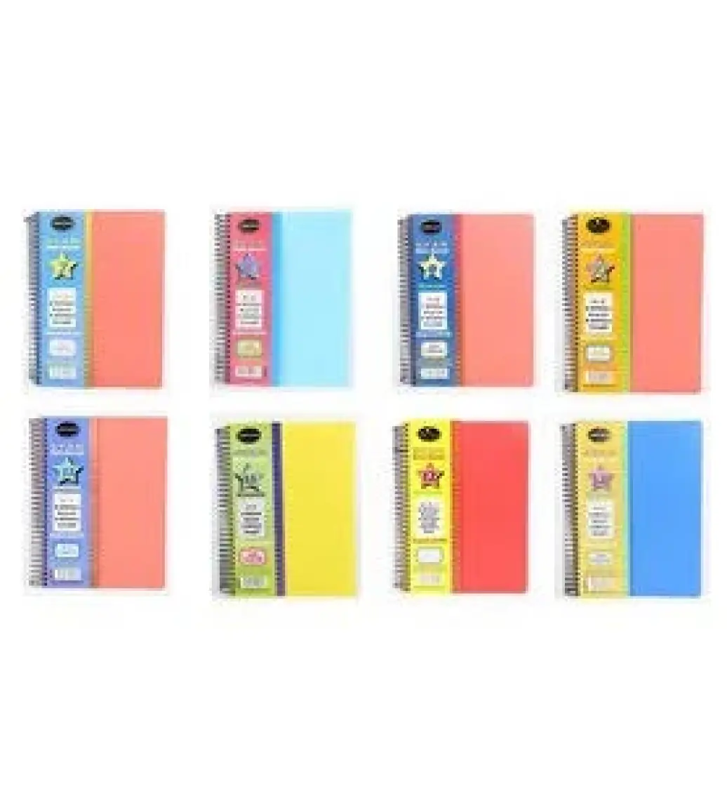 Defne Star Spiralli A4 Plastik Kapak Ayraçlı Defter 6 Kareli+2 Çizgili 200 Yaprak