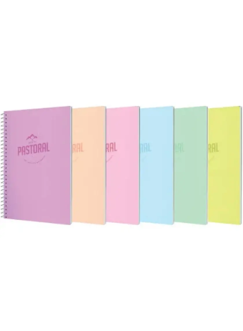 Gıpta Pastoral Spiralli Plastik Kapak Defter 17x24 72 Yaprak Çizgili (3251) 1 Adet
