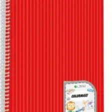 Çınar A4 Telli Defter Çizgili 96 Yaprak Spiralli